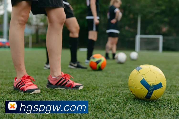 皇冠体育官网APP 封面图